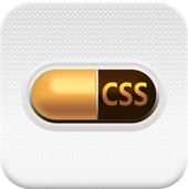 css3